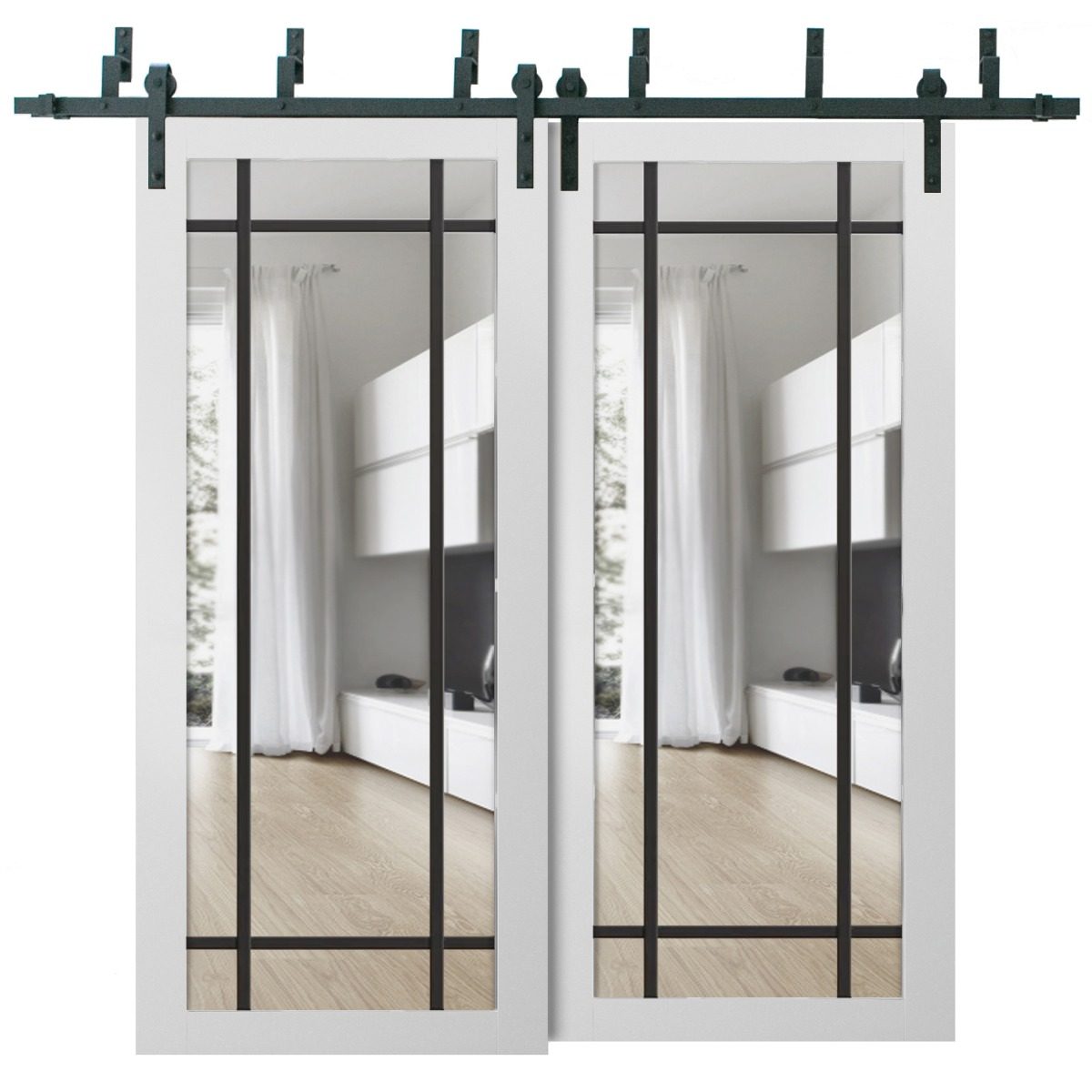 Solara 2266 Double Barn — Bypass door view 5