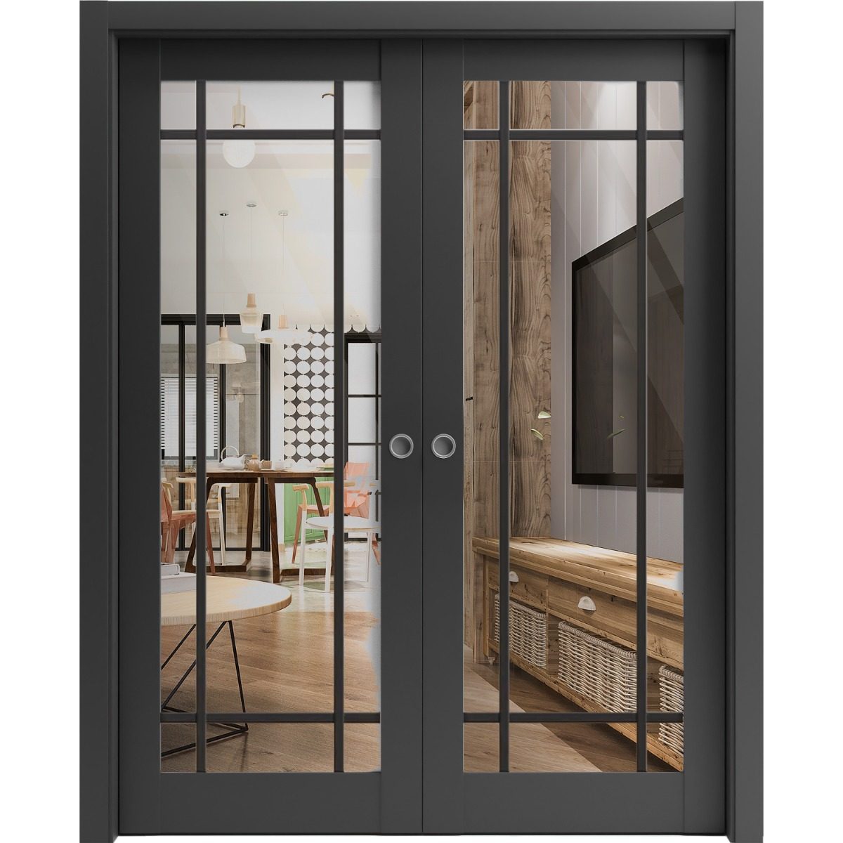 Solara 2266 Double Pocket door view 2