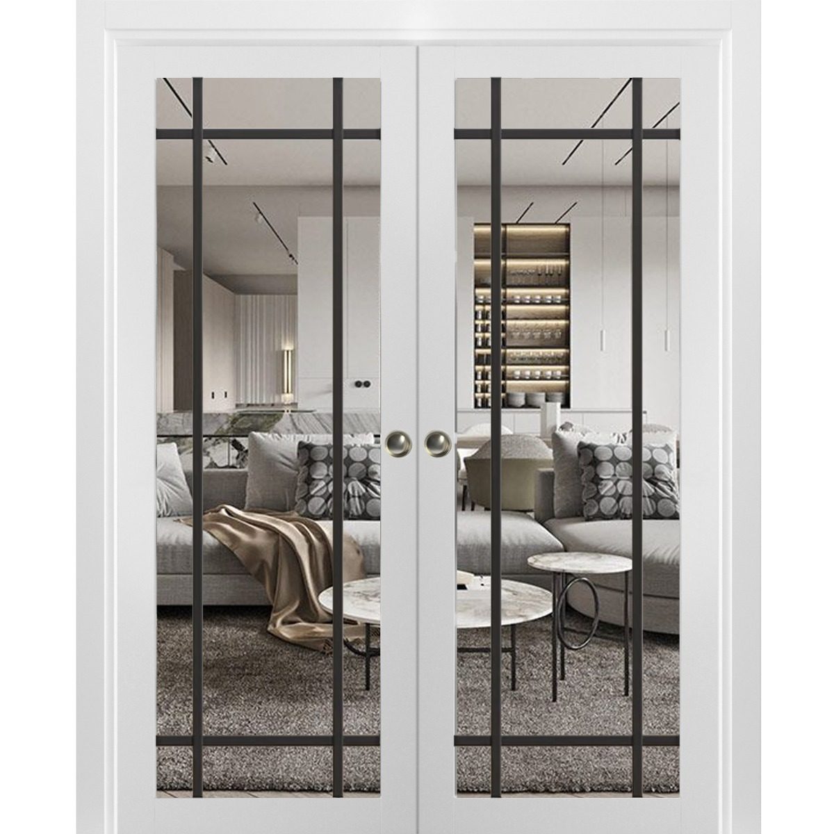 Solara 2266 Double Pocket door view 5