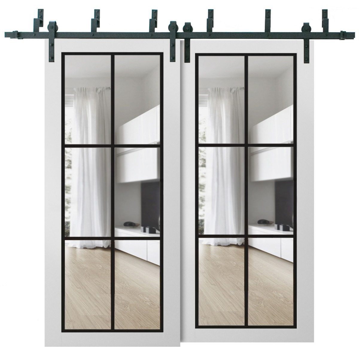 Solara 2366 Double Barn — Bypass door view 5