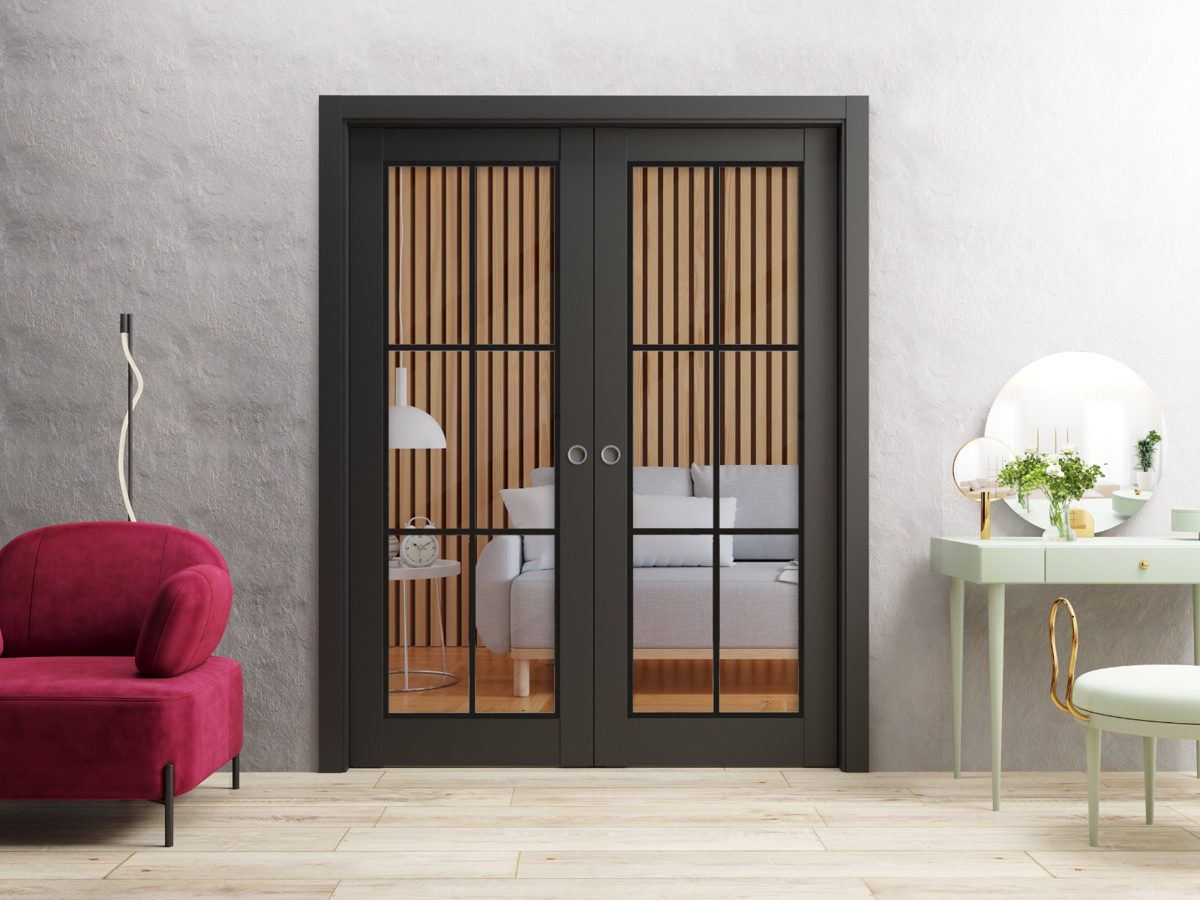 Solara 2366 Double Pocket door view 2