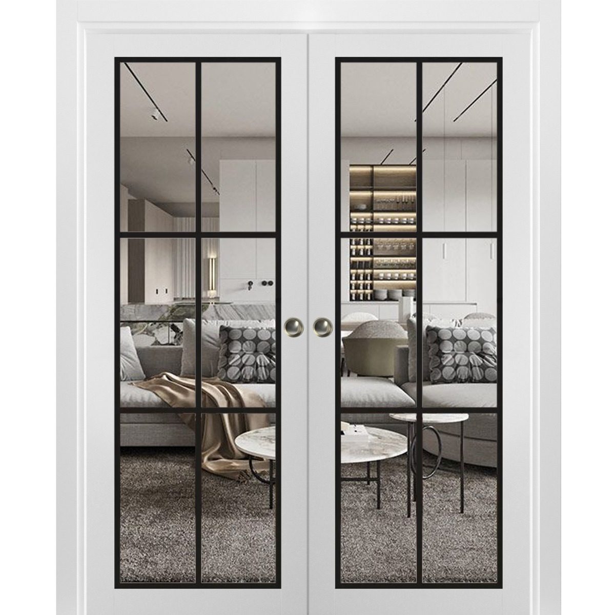 Solara 2366 Double Pocket door view 5