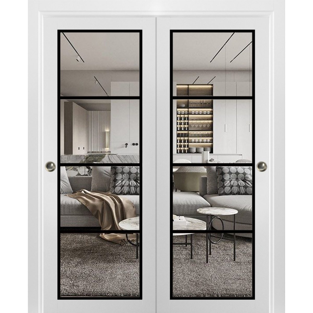Solara 2466 Bypass door view 5