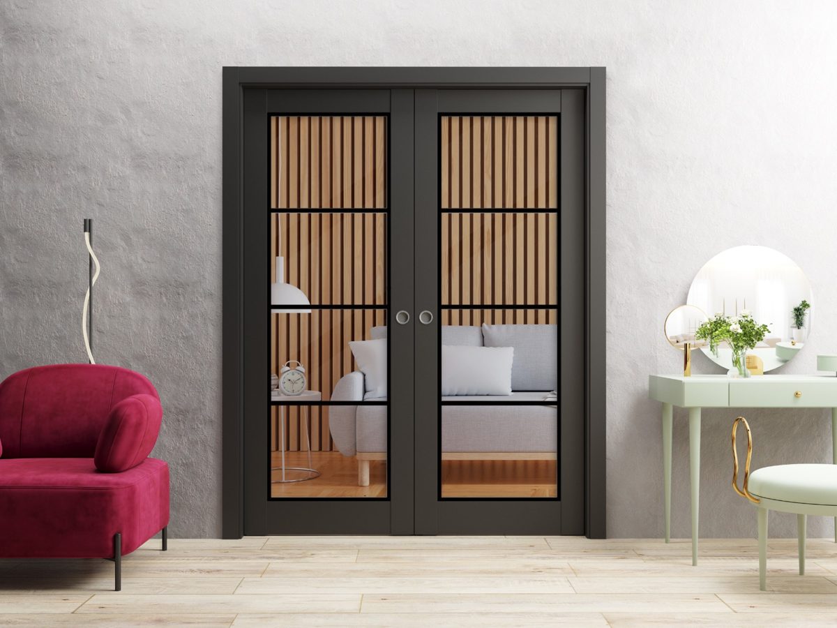 Solara 2466 Double Pocket door view 2