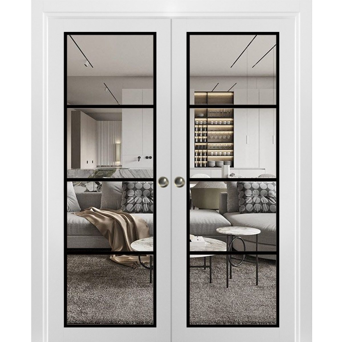 Solara 2466 Double Pocket door view 5