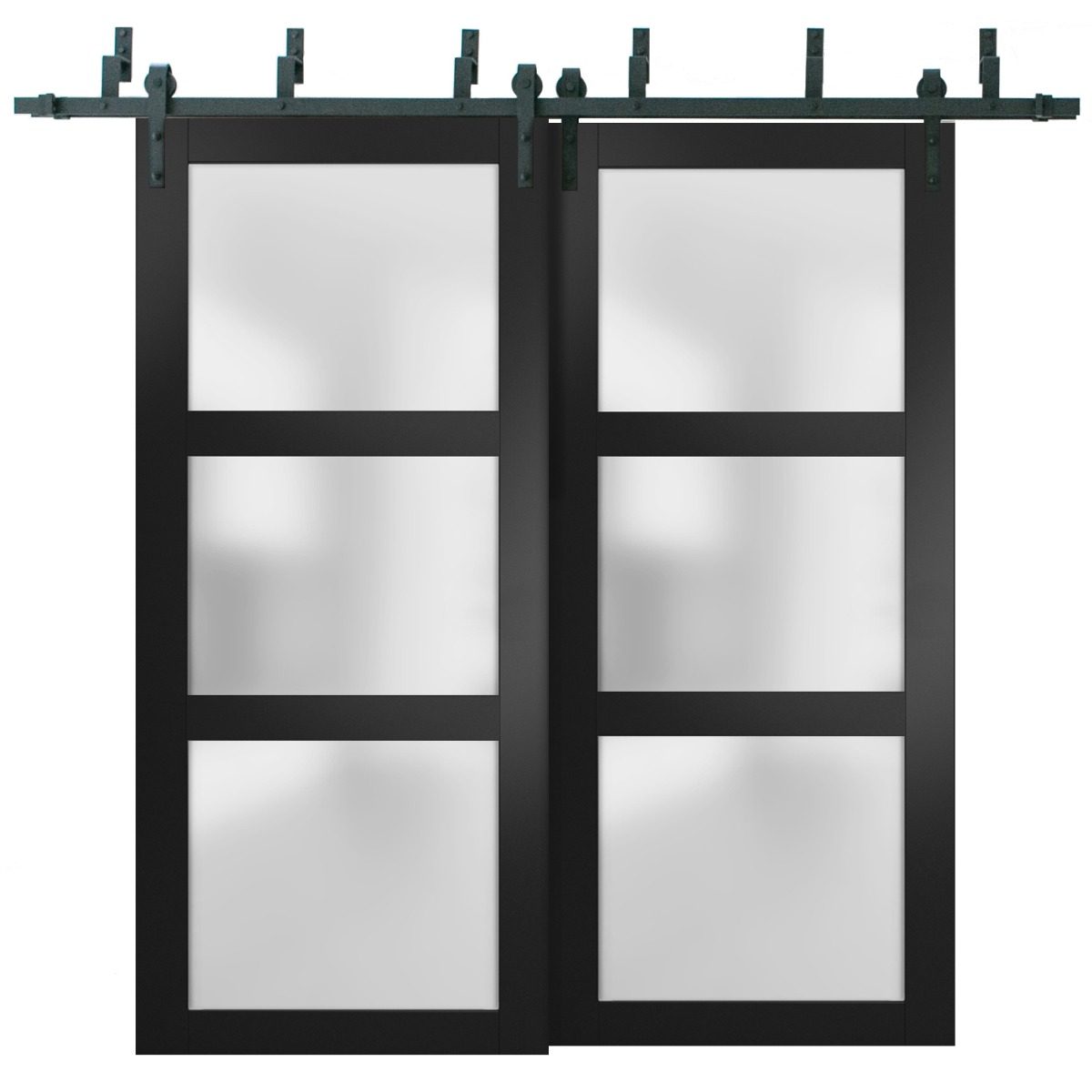 Solara 2552 Double Barn — Bypass door view 5
