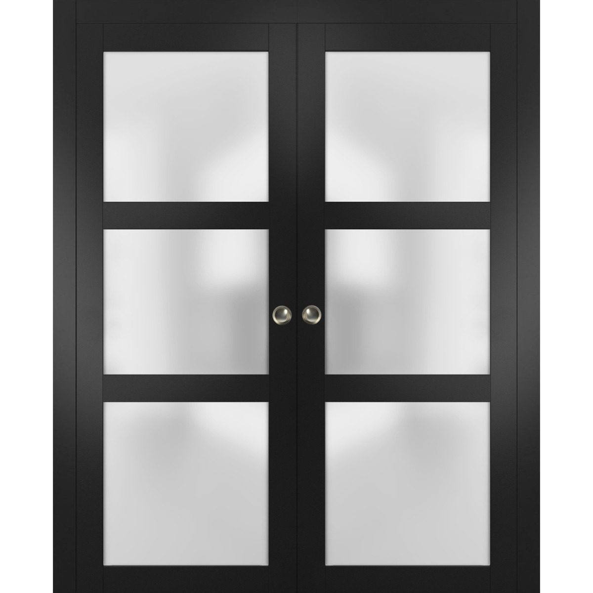 Solara 2552 Double Pocket door view 5