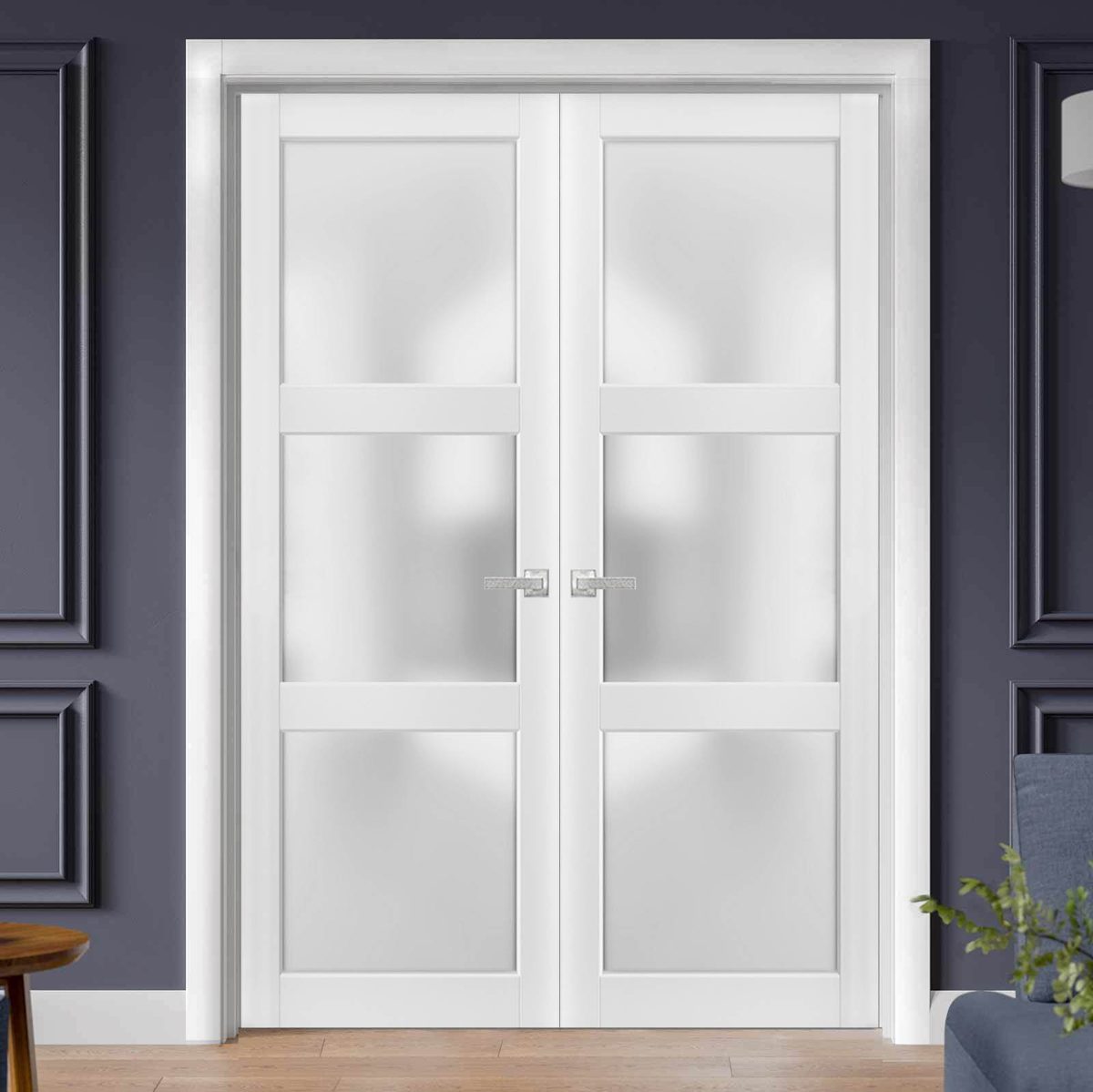 Solara 2552 Double French Swing door view 2
