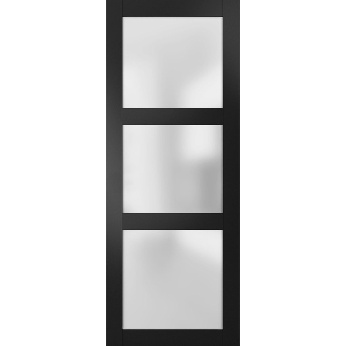 Solara 2552 Interior Slab door view 5