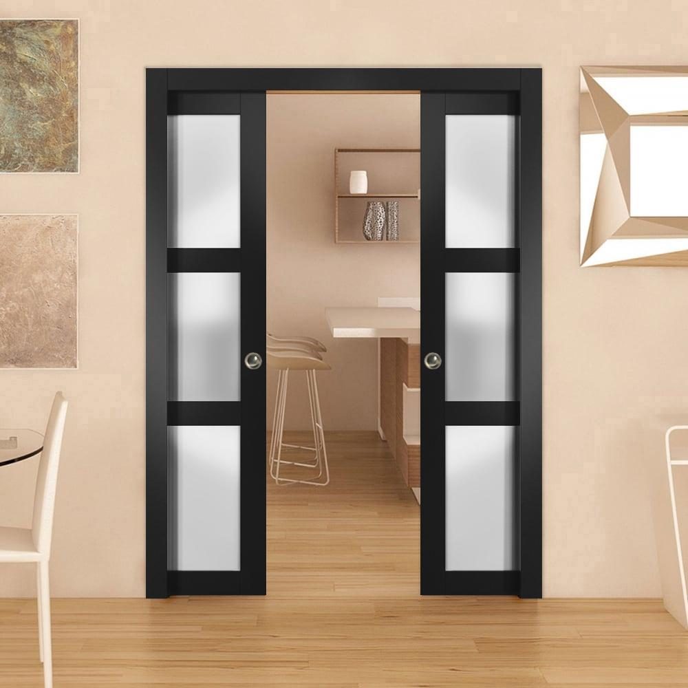 Solara 2552 Interior Slab door view 6