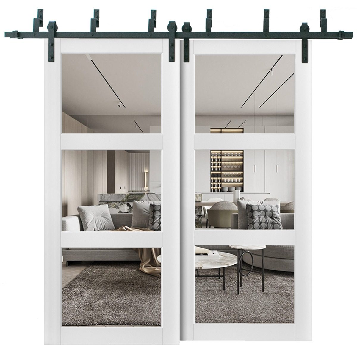 Solara 2555 Double Barn — Bypass door view 5