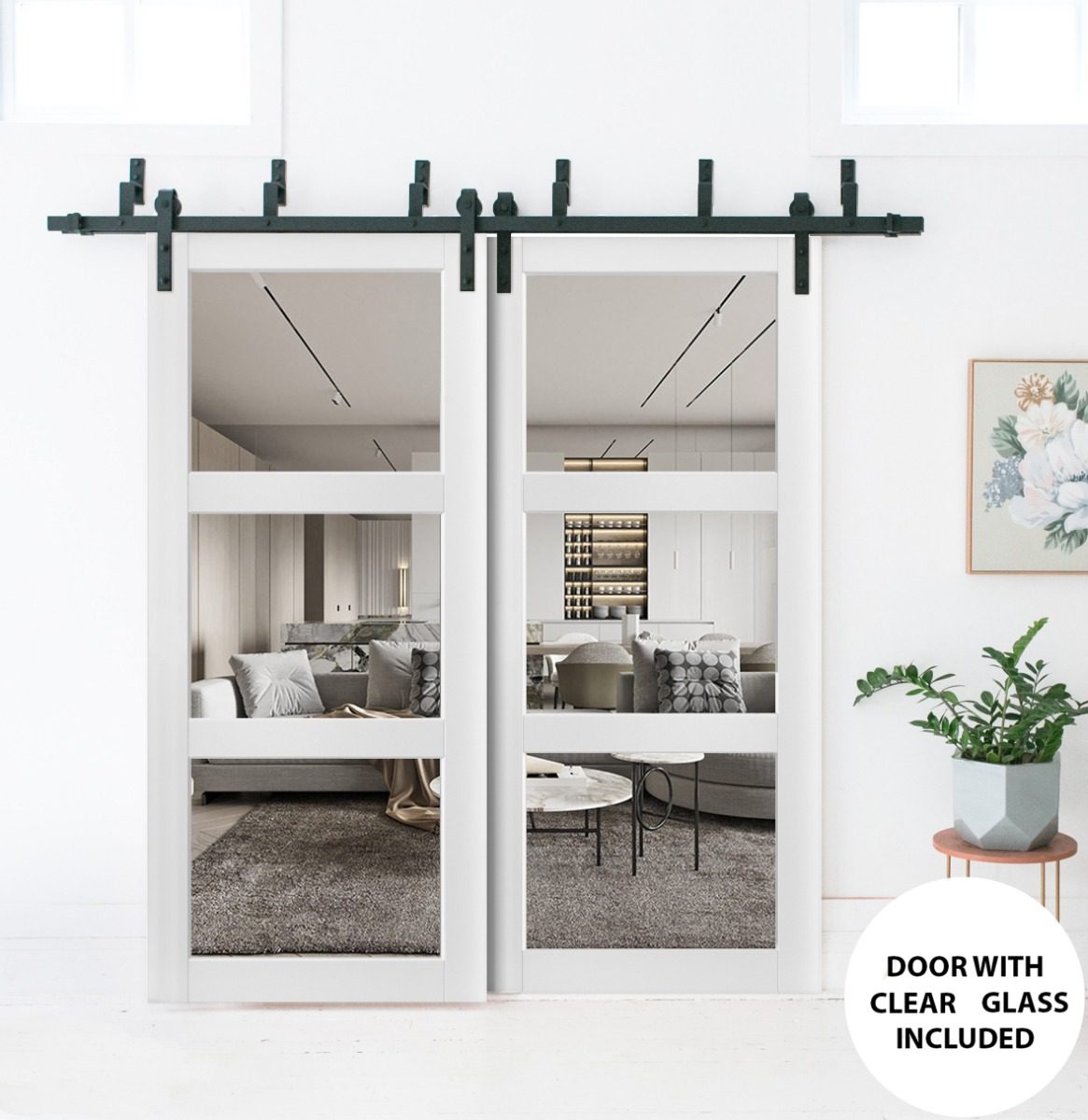Solara 2555 Double Barn — Bypass door view 6