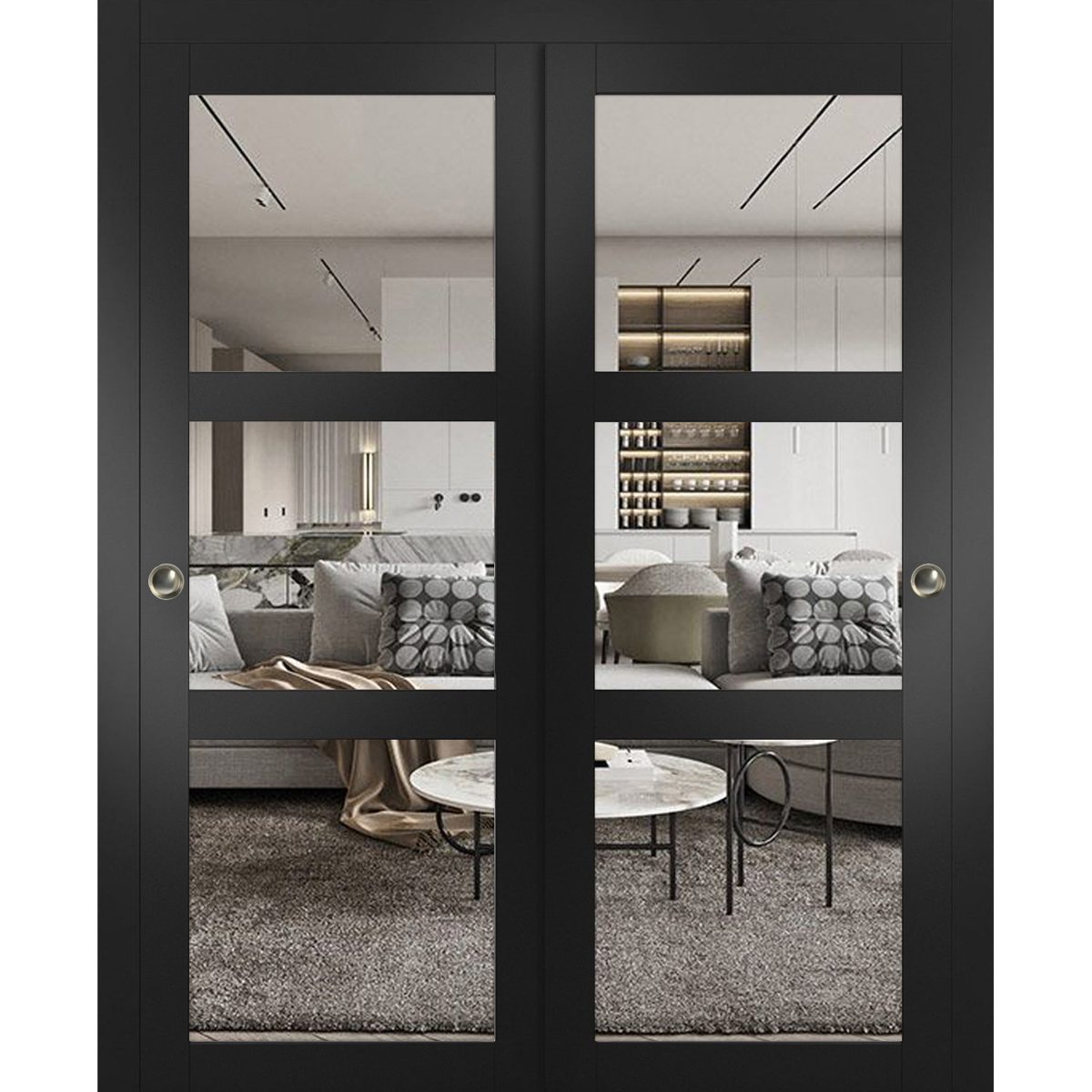Solara 2555 Bypass door — Doors Near Me, Los Angeles