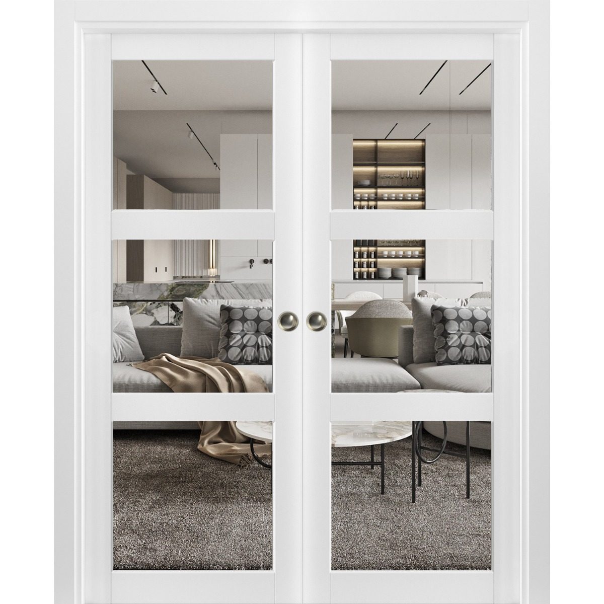 Solara 2555 Double Pocket door view 6