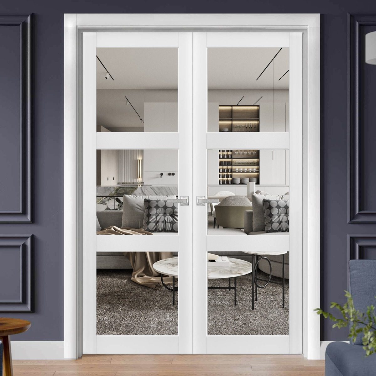 Solara 2555 Double French Swing door view 6