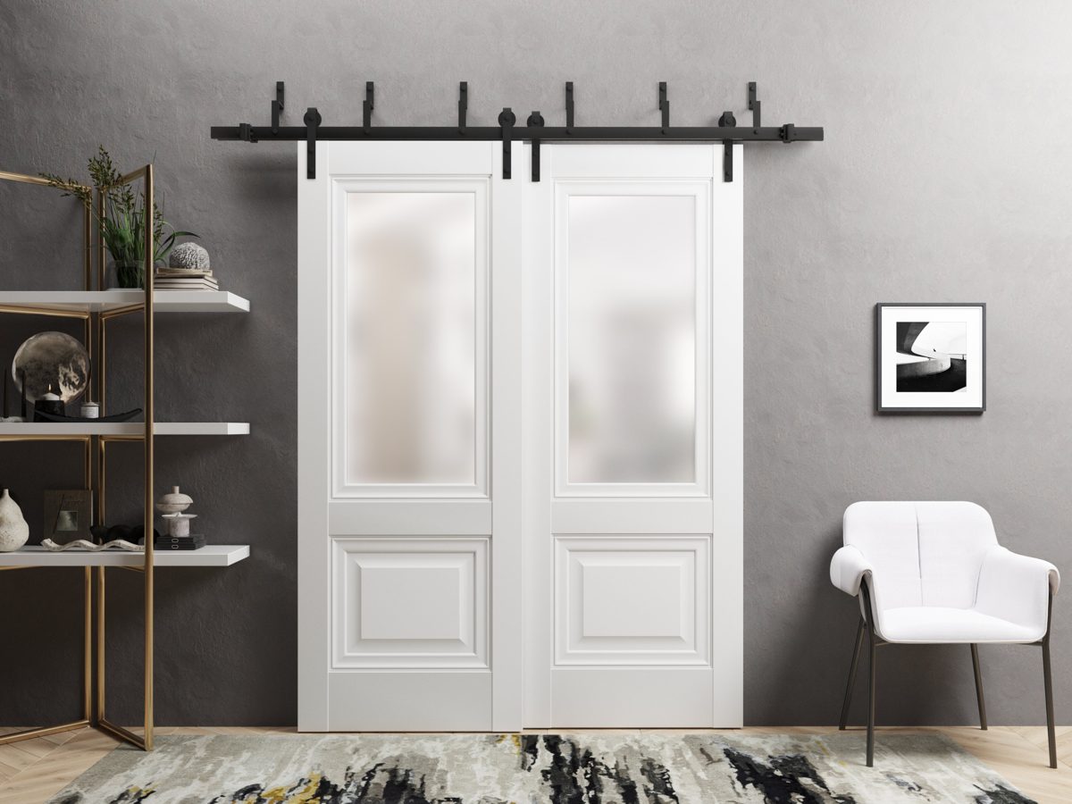 Solara 8822 Double Barn — Bypass door view 2