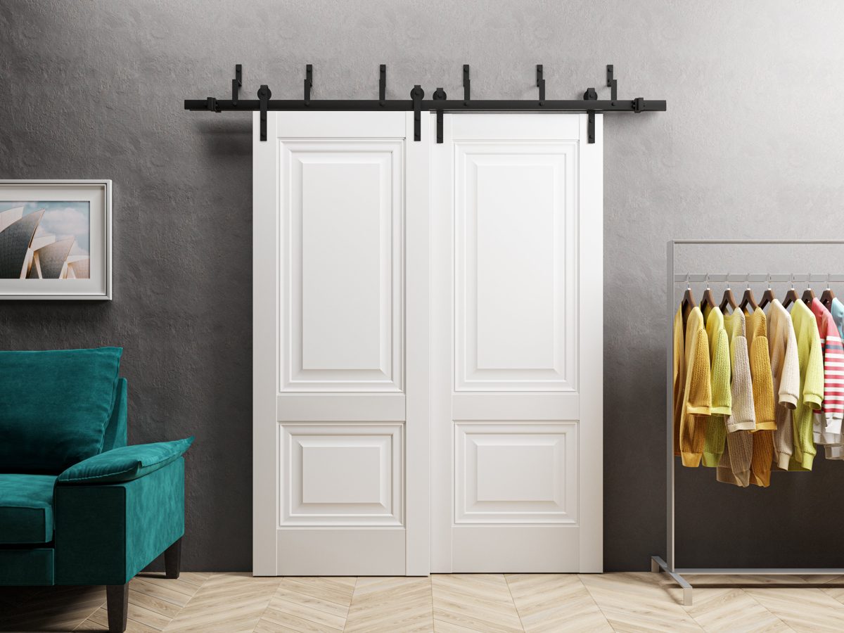 Solara 8831 Double Barn — Bypass door view 2