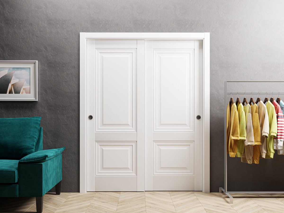 Solara 8831 Bypass door view 2