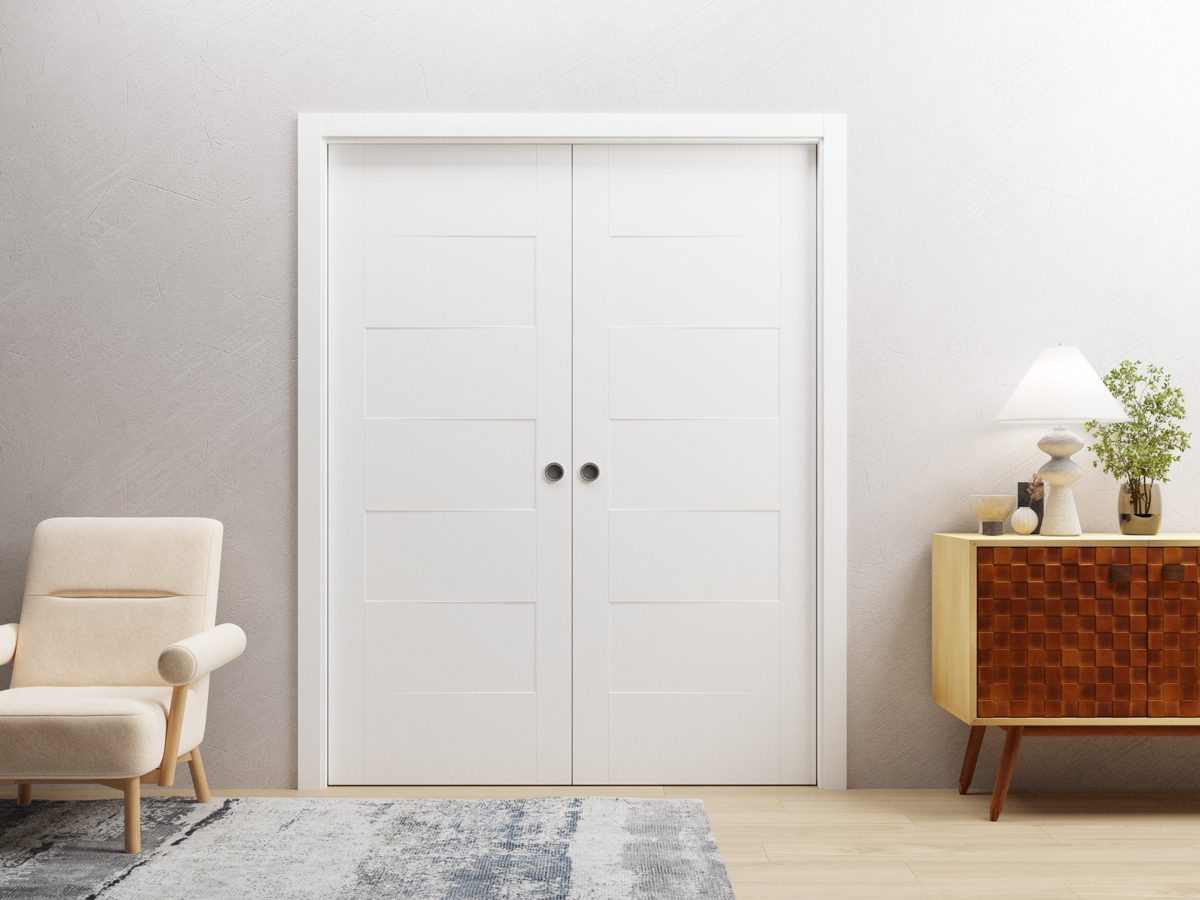 Vela 0755 Double Pocket door view 2