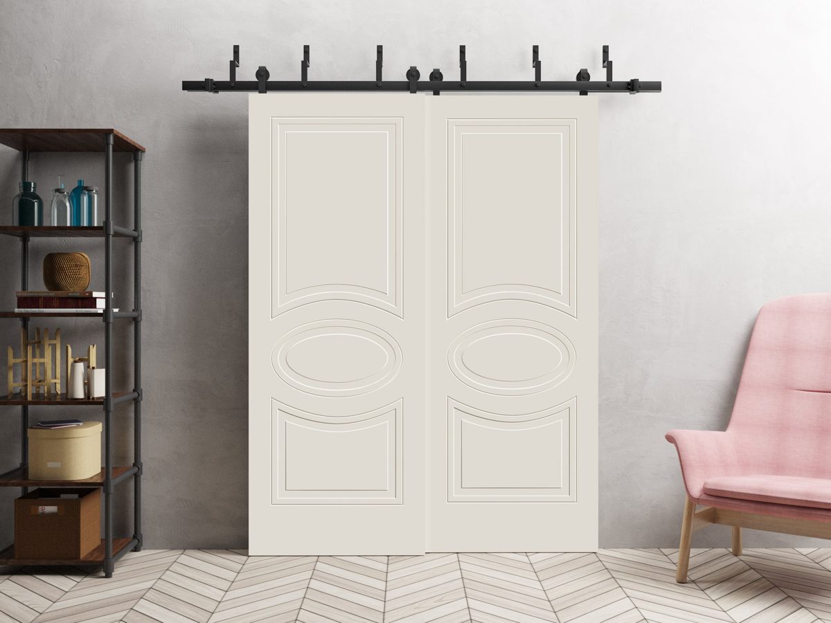 Vela 7001 Double Barn — Bypass door view 2