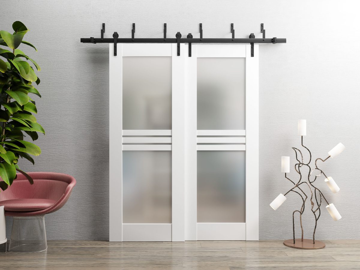 Vela 7222 Double Barn — Bypass door view 2