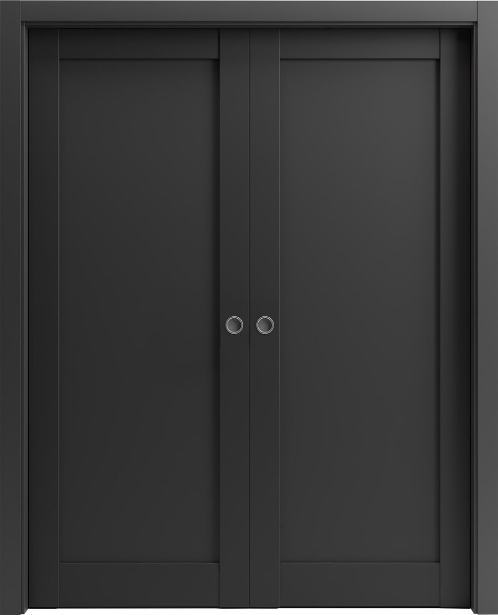Vantage 4111 Double Pocket door — Doors Near Me, Los Angeles