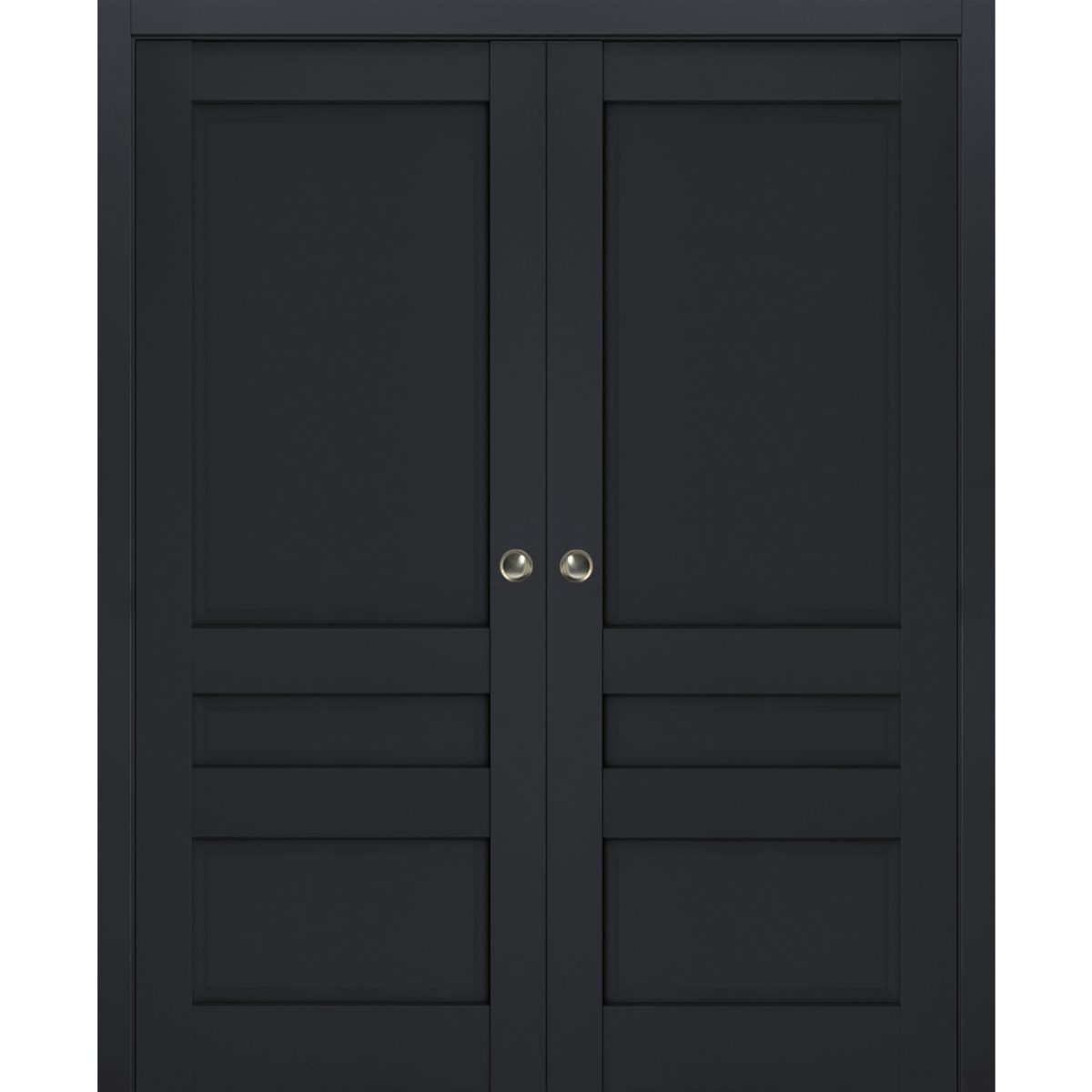 Vantage 7411 Double Pocket door — Doors Near Me, Los Angeles
