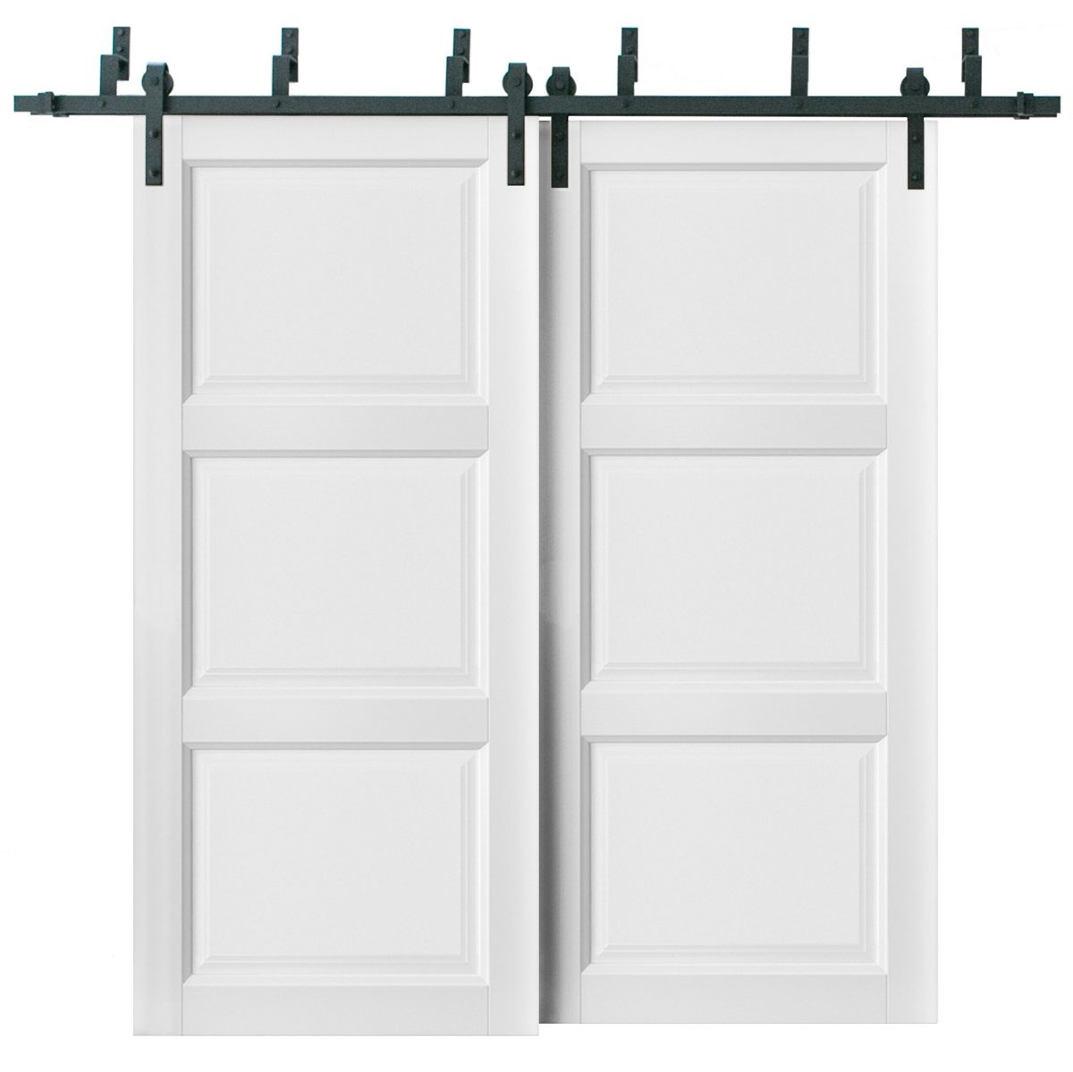 Vantage Double Barn — Bypass door view 5