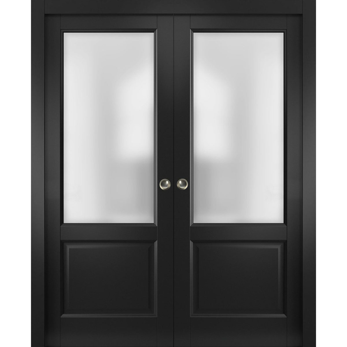 Vantage Double Pocket door view 3