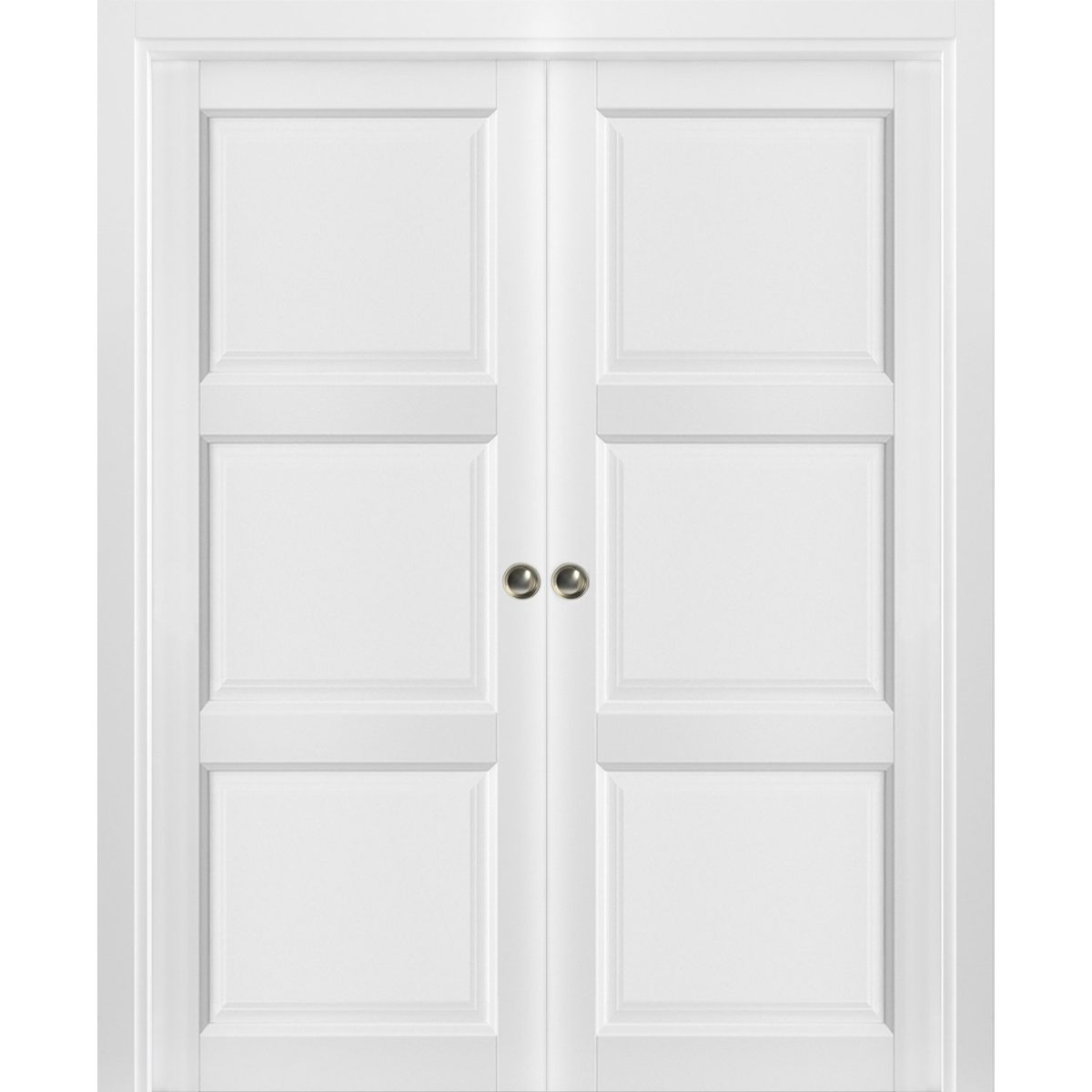 Vantage Double Pocket door view 5