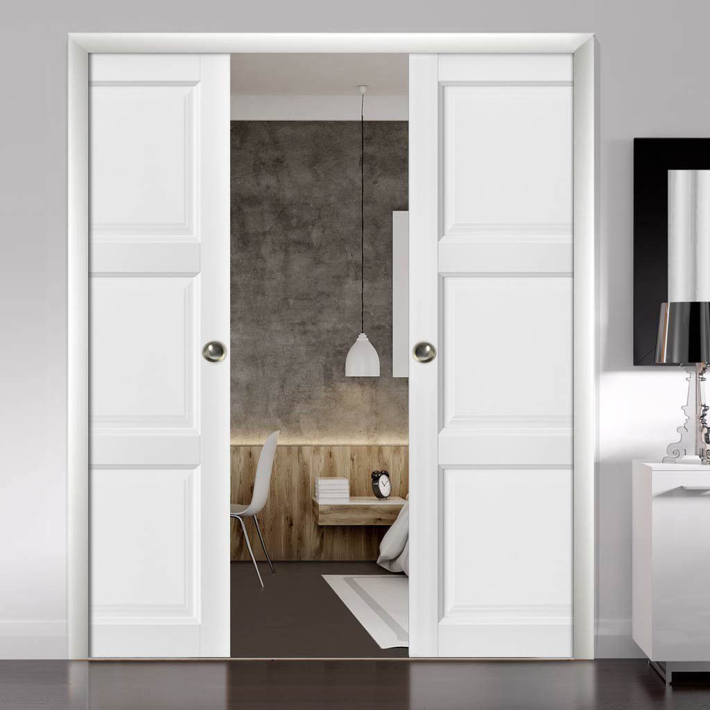 Vantage Double Pocket door view 6