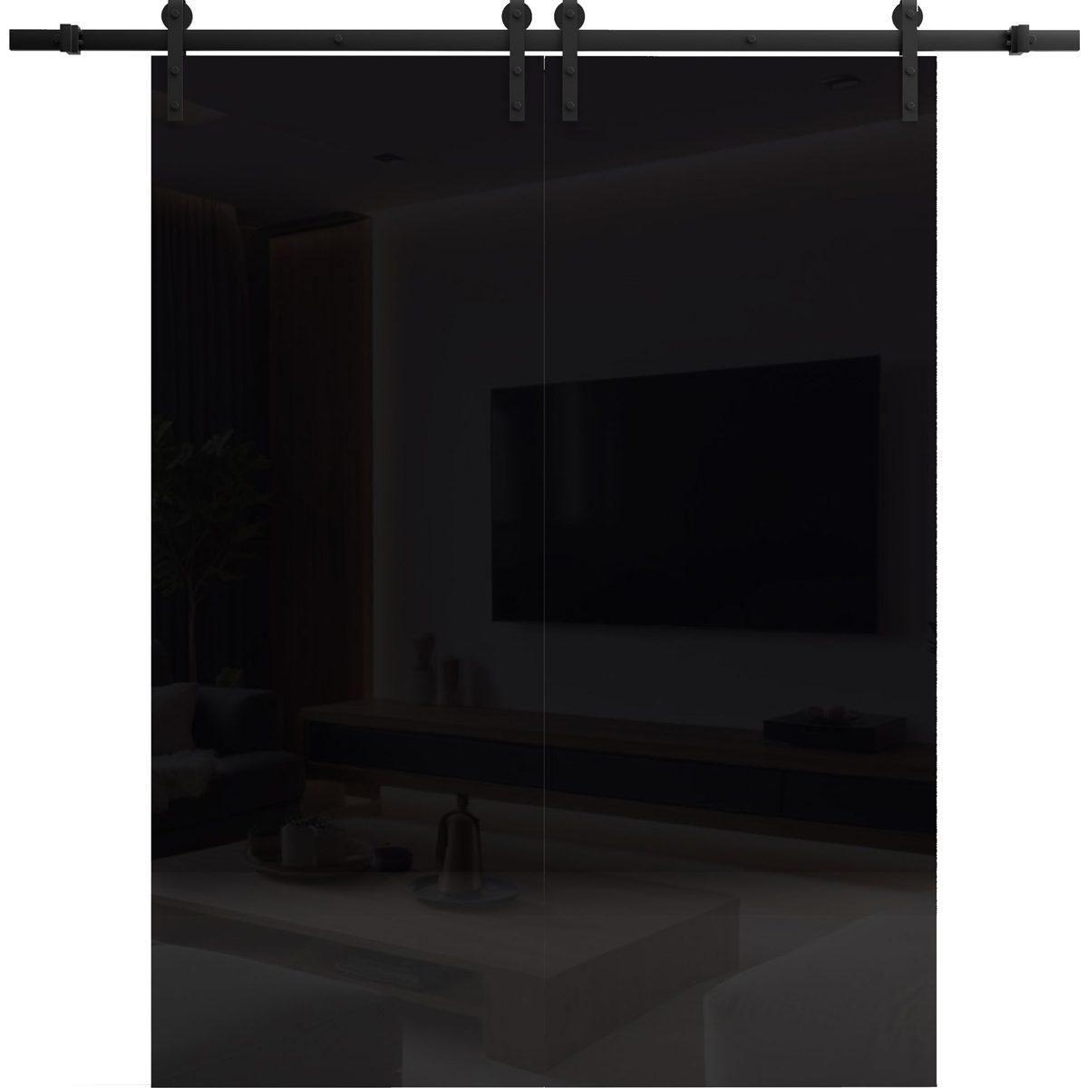 Lumina 0010 Double Barn door — Doors Near Me, Los Angeles