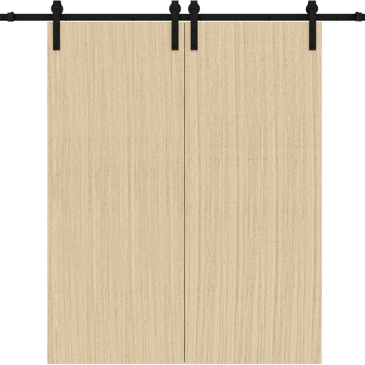 Lumina 0010 Double Barn door view 7