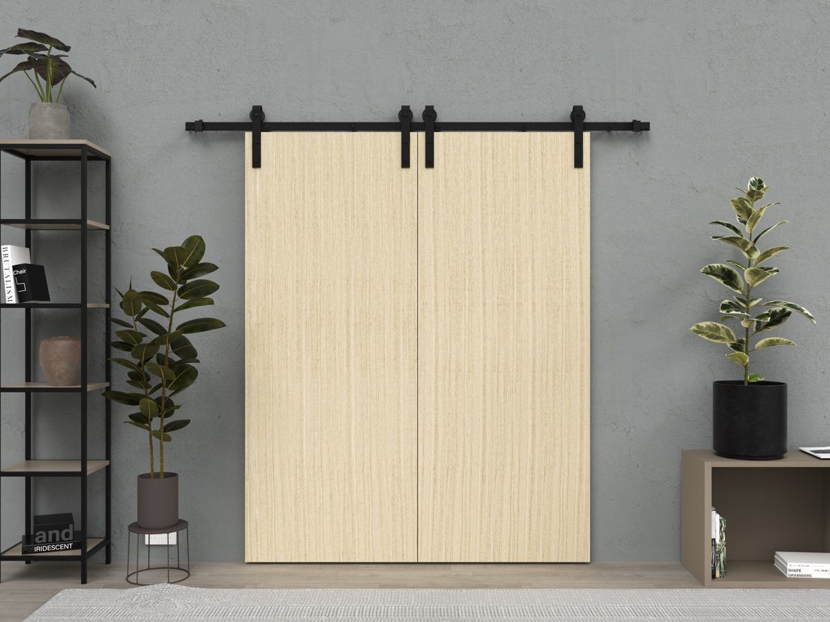 Lumina 0010 Double Barn door view 8