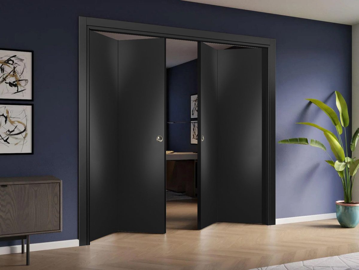 Lumina 0010 Double Bi-Fold door view 2