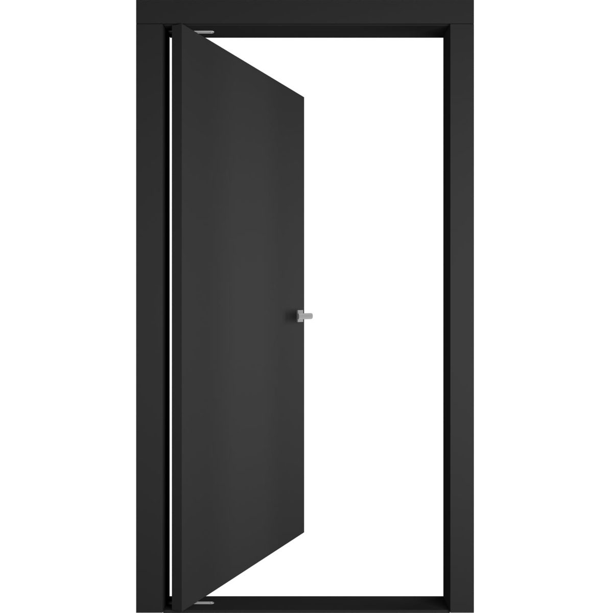 Lumina 0010 Interior Pivot door view 2
