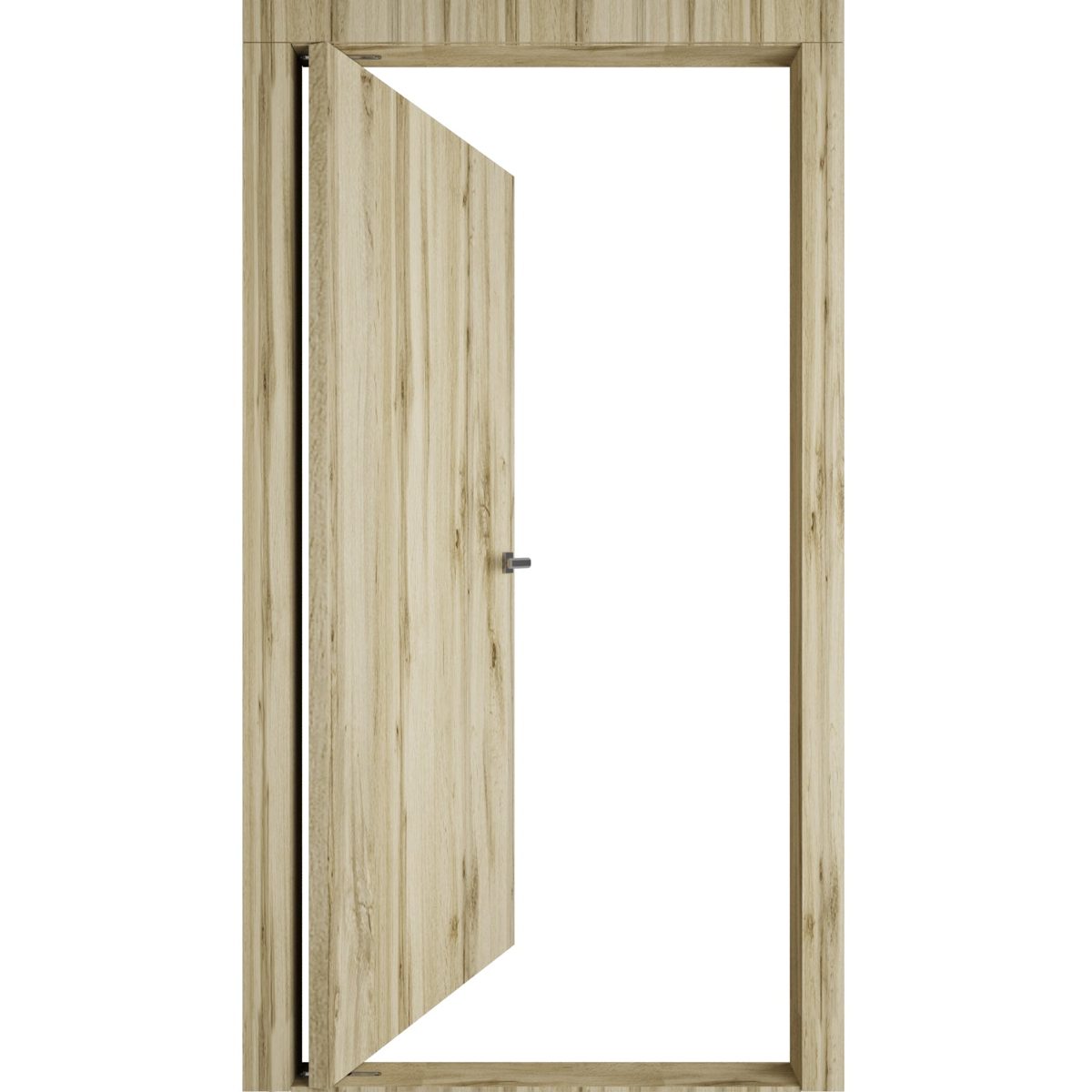 Lumina 0010 Interior Pivot door view 6