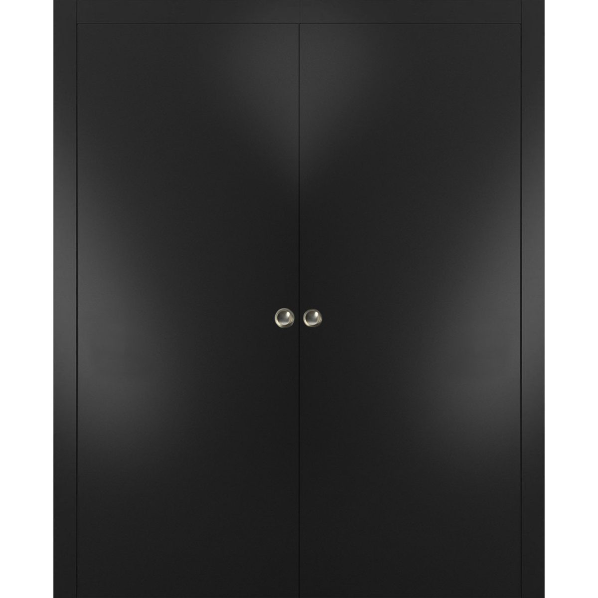 Lumina 0010 Double Pocket door