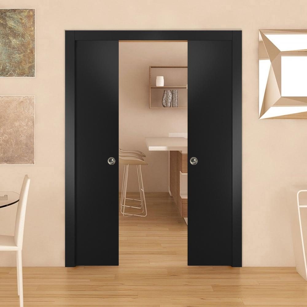 Lumina 0010 Double Pocket door view 2