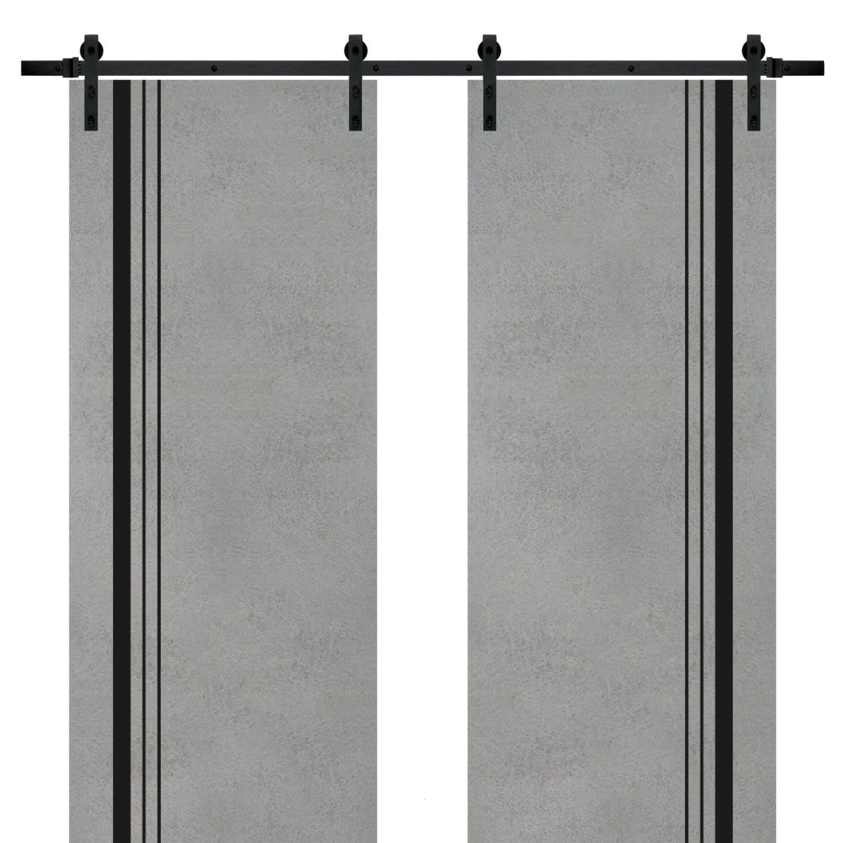 Lumina 0011 Double Barn door — Doors Near Me, Los Angeles
