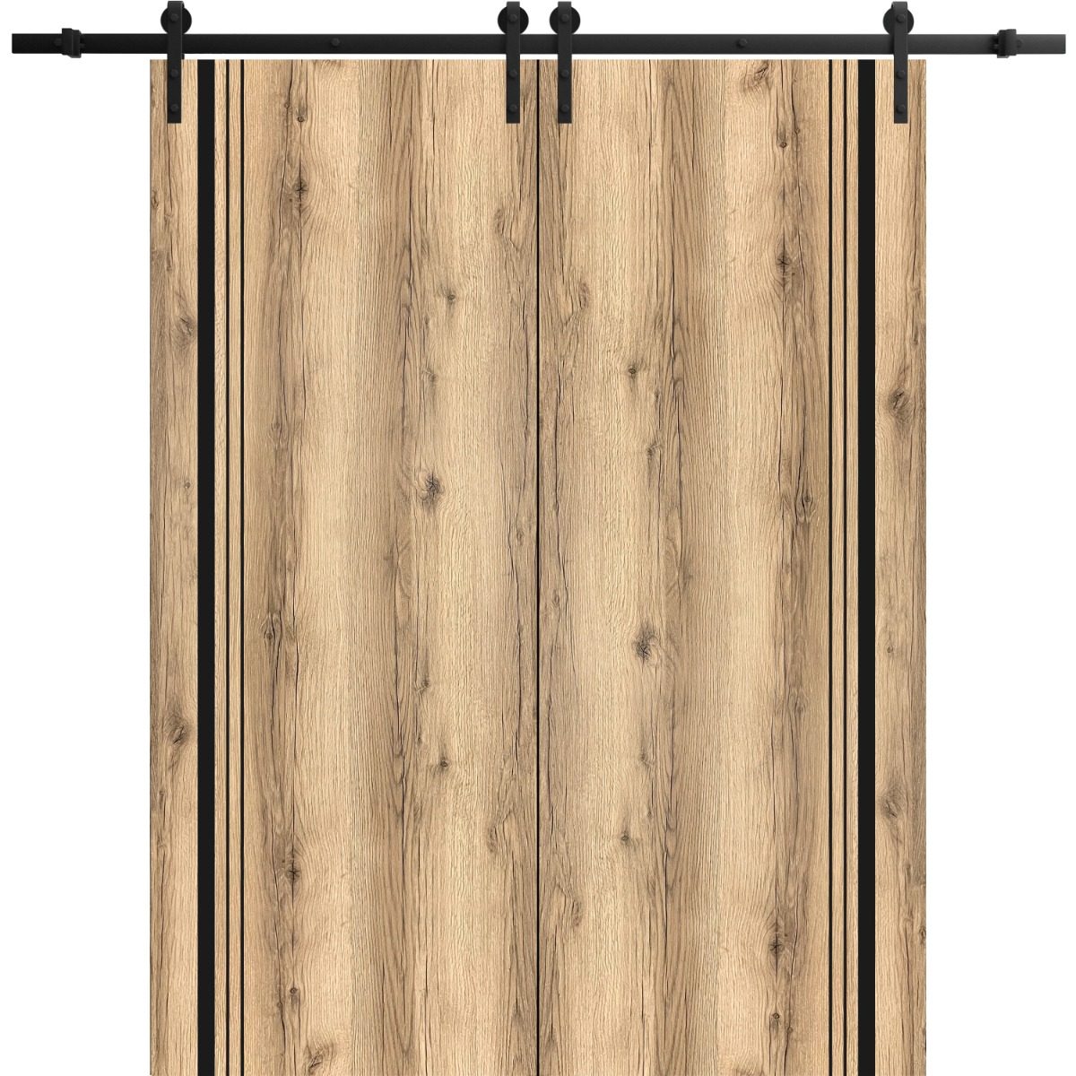Lumina 0011 Double Barn door view 5