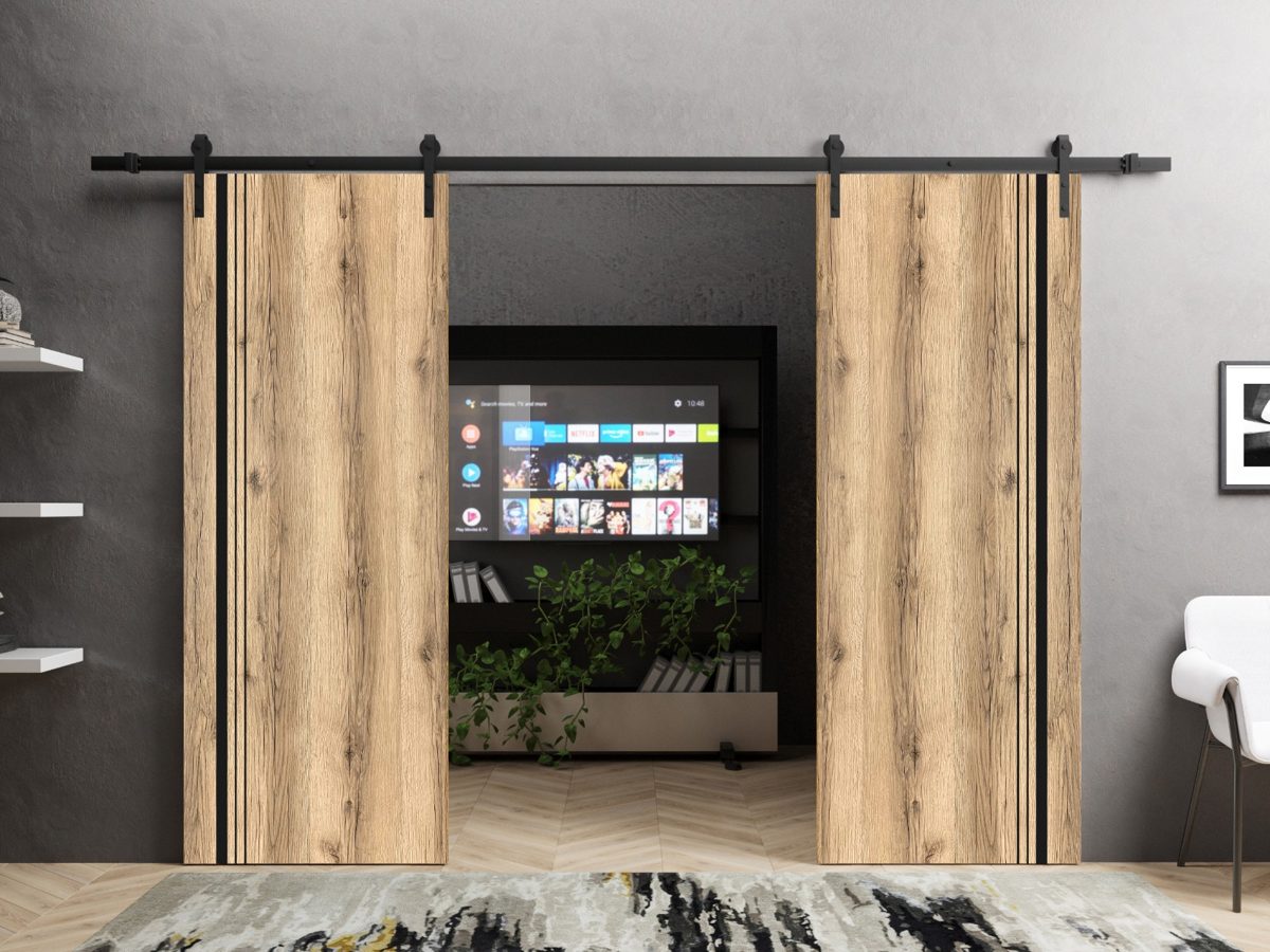 Lumina 0011 Double Barn door view 6