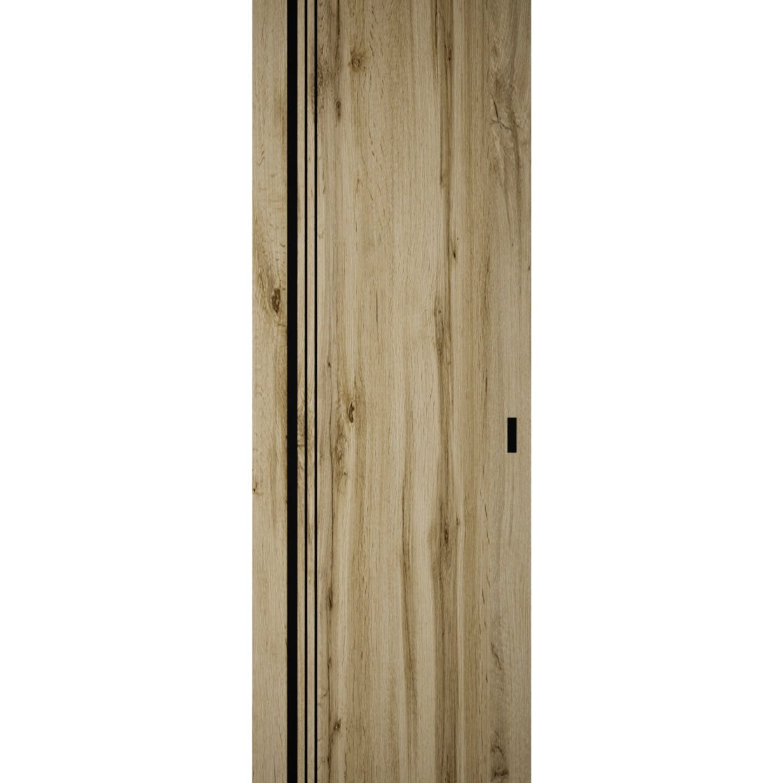 Lumina 0011 Hidden Barn door view 5