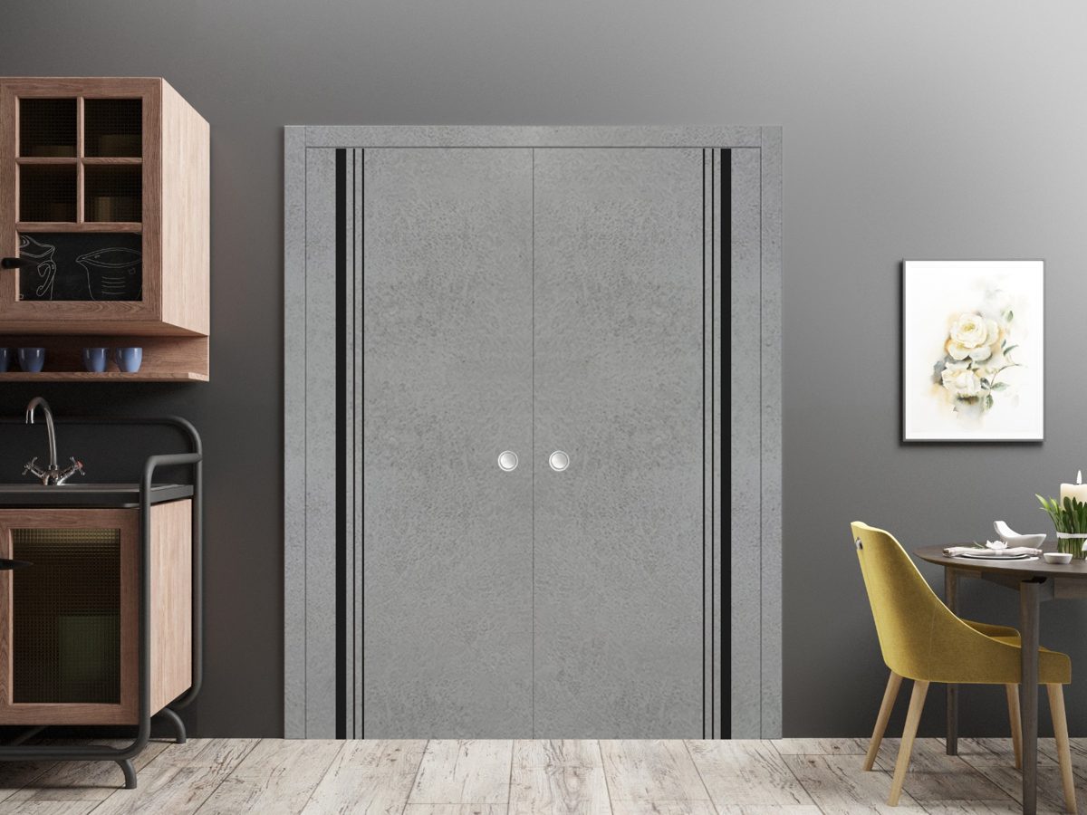 Lumina 0011 Double Pocket door view 2