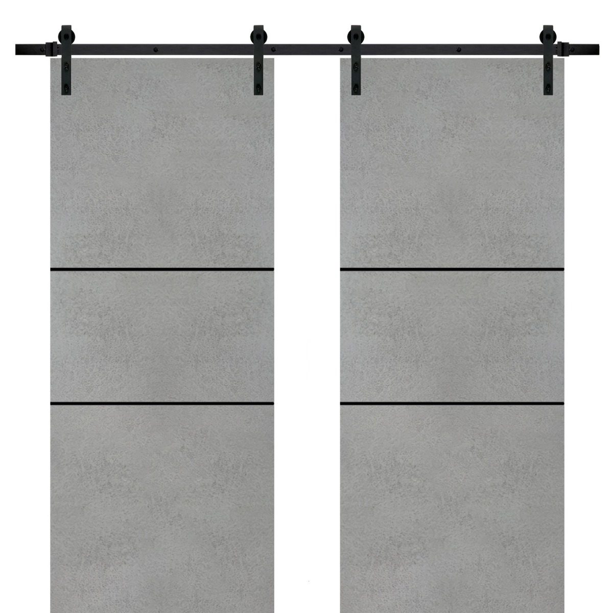 Lumina 0014 Double Barn door — Doors Near Me, Los Angeles