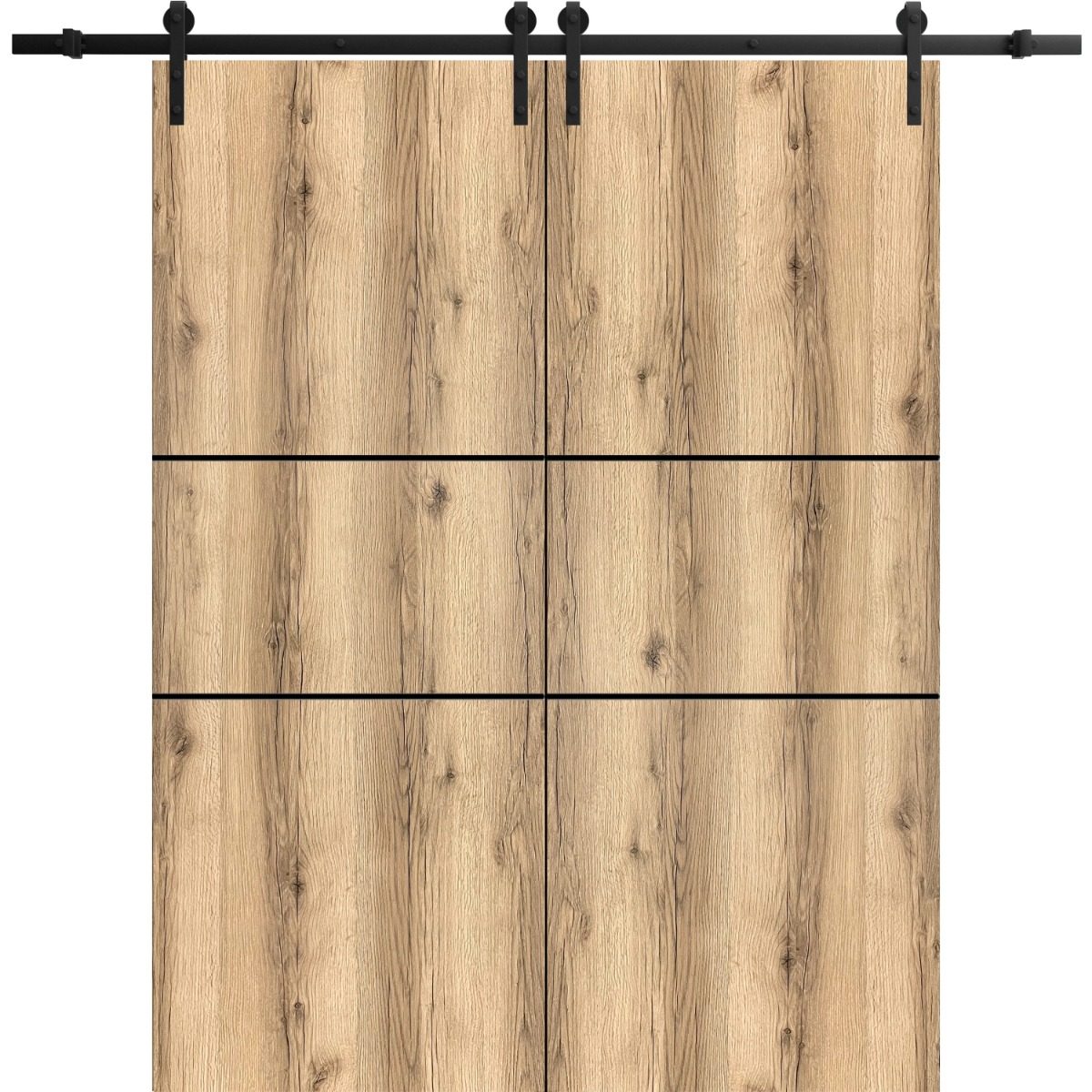 Lumina 0014 Double Barn door view 5