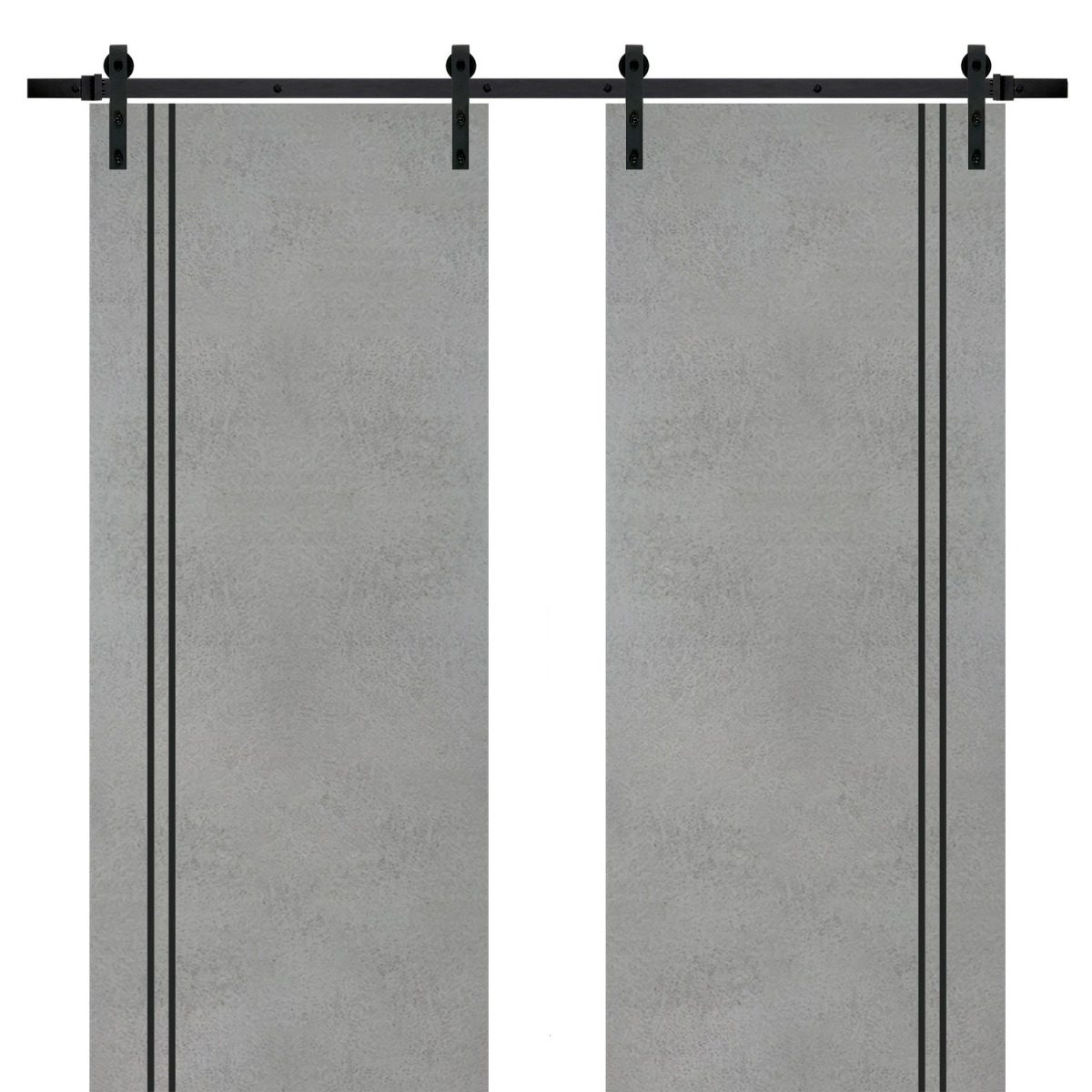 Lumina 0016 Double Barn door — Doors Near Me, Los Angeles