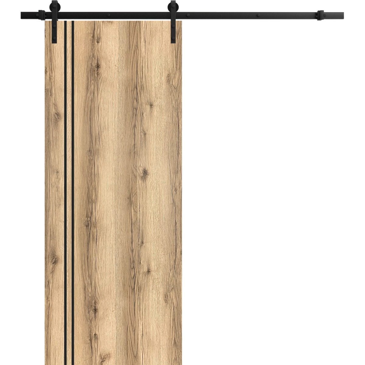 Lumina 0016 Barn door view 5