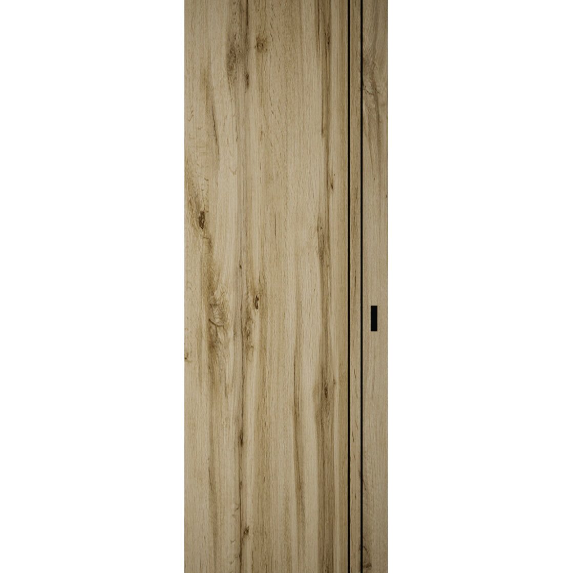 Lumina 0016 Hidden Barn door view 5