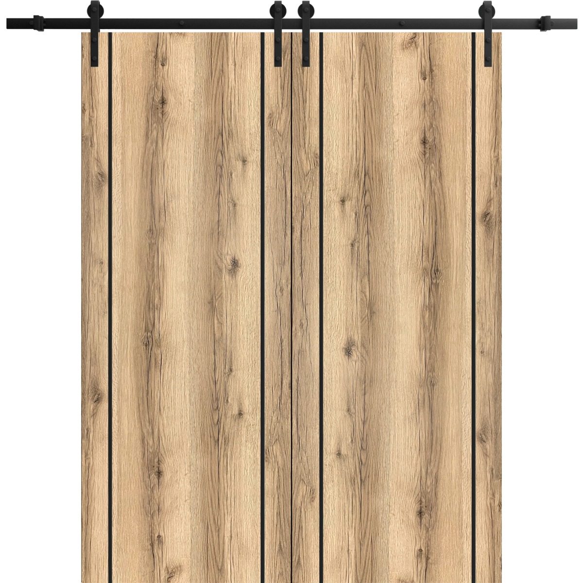 Lumina 0017 Double Barn door view 5